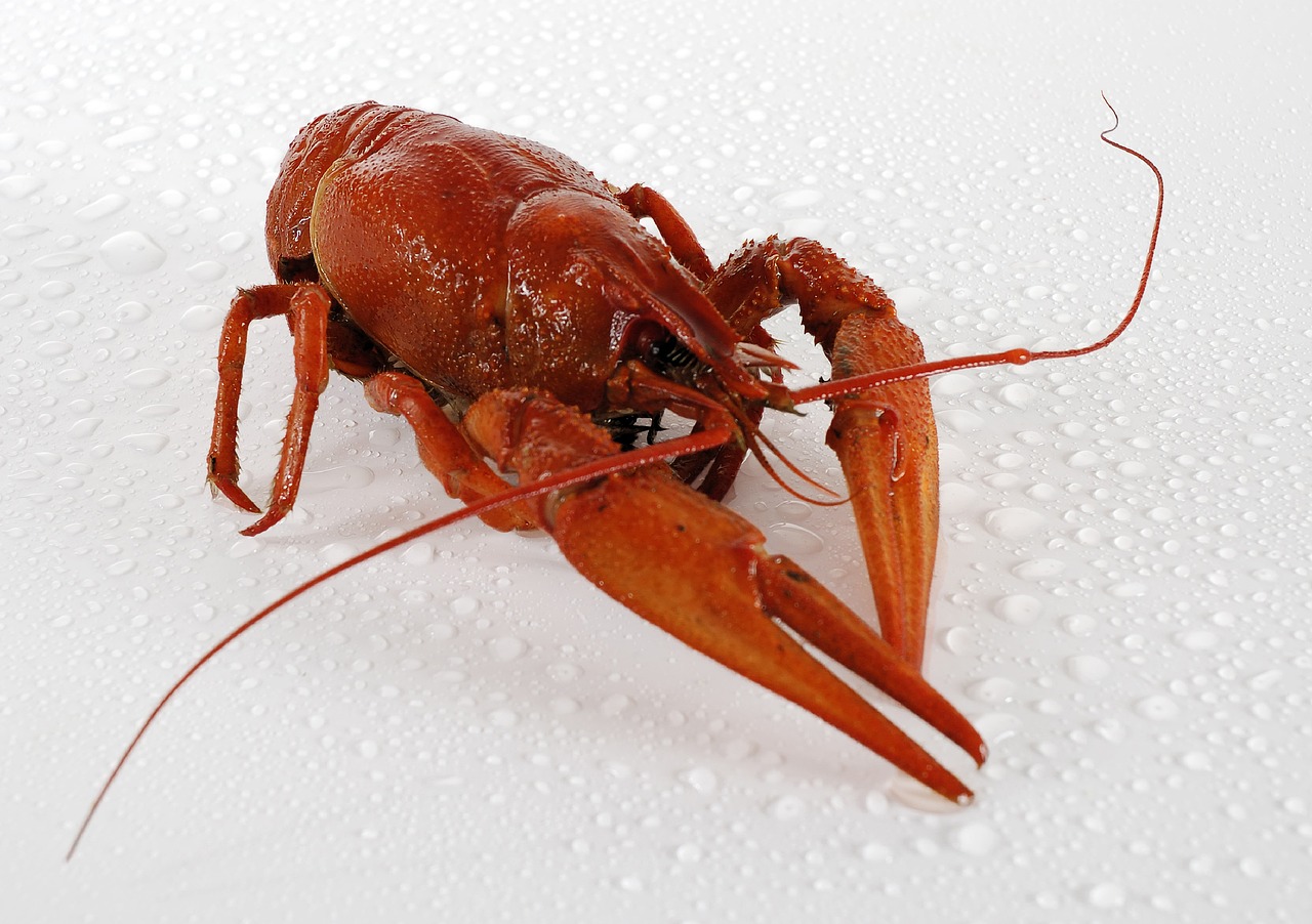 sos de rosii cu busuioc pentru iarna